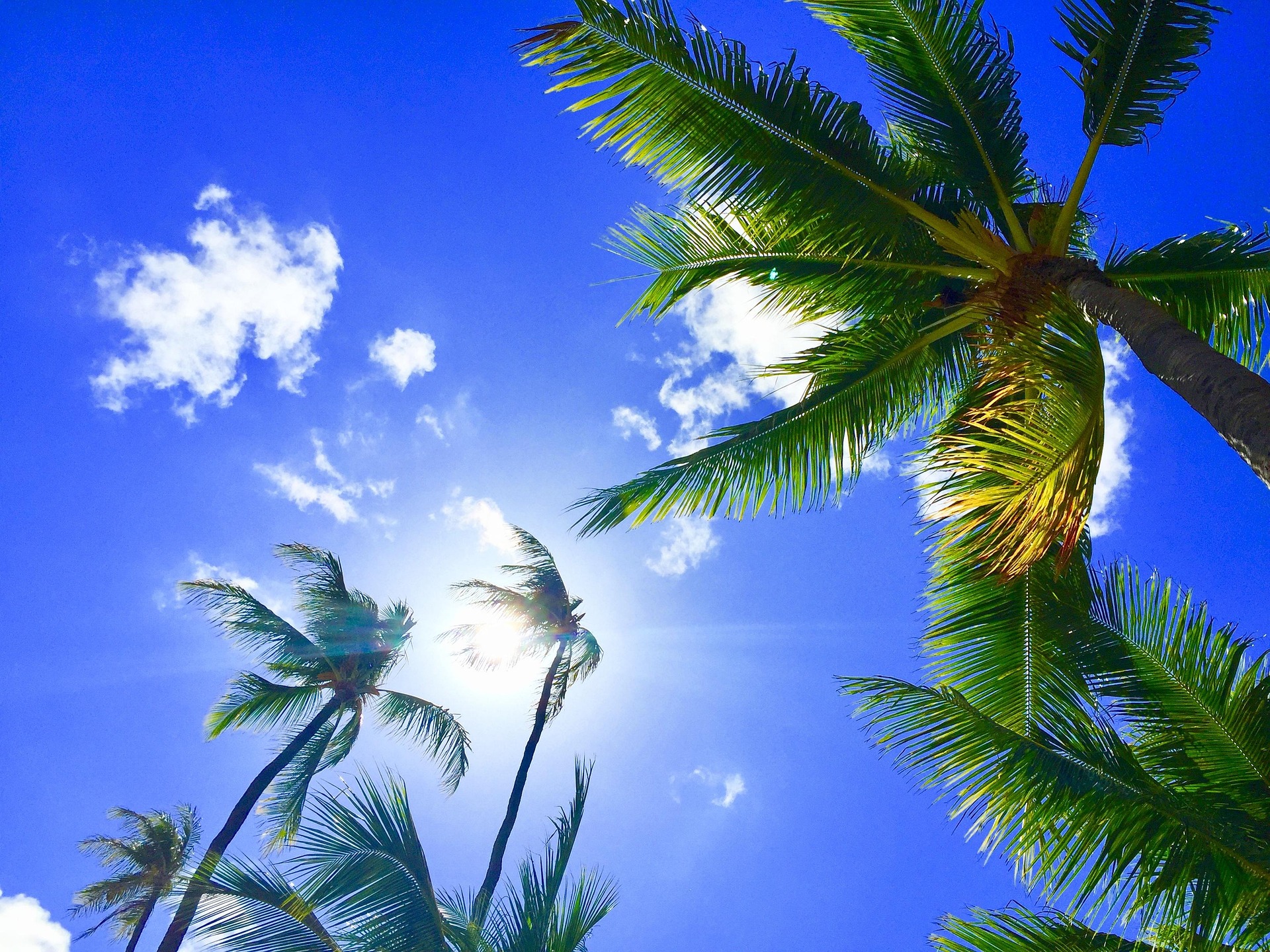 I Found a $198 Flight to Hawaii from Oakland. Here’s How.
