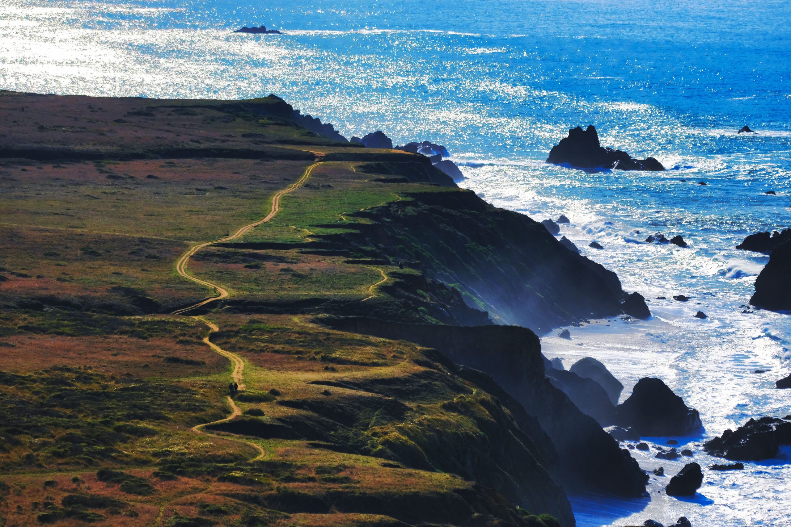 We Left San Francisco at 6 AM With No Plan. Big Sur Fixed That. 🌊🚗