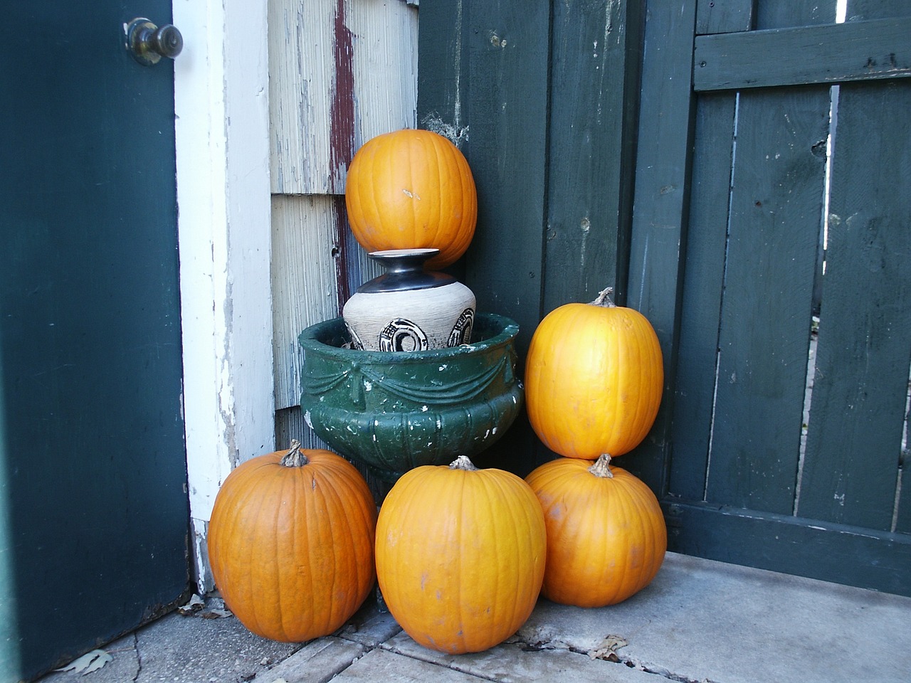 We Flew In for Halloween Just to See the Steve Jobs House — Saved $91 Landing at OAK